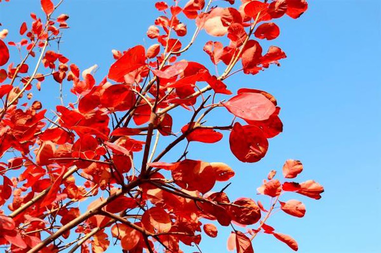 c74dce6ac31c27e3e8597a2379eac209 c74dce6ac31c27e3e8597a2379eac209